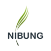 nibung.com trans bg