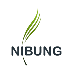 nibung.com trans bg